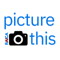 Picture This